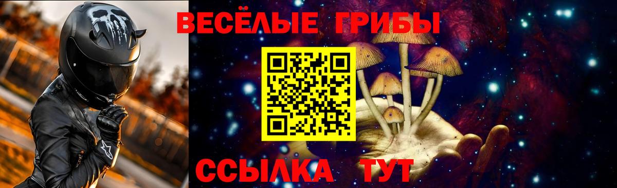 Псилоцибиновые грибы Psilocybe  Галлюциногенные грибы GOLDEN TEACHER  Россия  Вход с VPN 